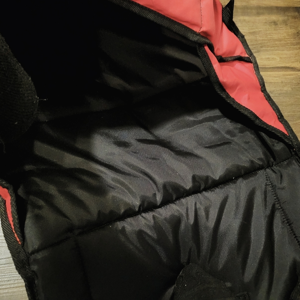 Pizza hut hot food bag